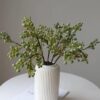 SPHINX Ribbed Pipe Ceramic Vase, Flower Vase, Pampas Grass Vase, Vase for Money Plant Live Plants, Vase Home Decor Centrepiece Decor for Home, Office, or Gifts VASE ONLY NO Flowers- (White, 6 Inch) - Image 4