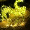 XERGY Artificial Vine Leaf LED Fairy String Light Ideal for Bedroom,Garden,Birthday & Festive Décor,Diwali Lights & Christmas,Party Diwali Lights for Decoration Home (3x1Meter,Corded Electric) Visit the XERGY Store - Image 6