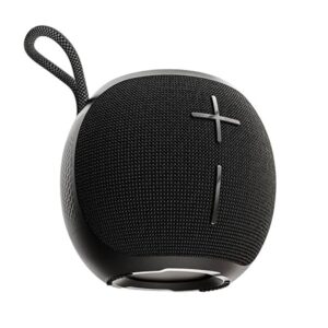 Bluetooth Speaker 10 Watt BoomX Audio, Up to 18Hrs Playtime, Type-C Charging, AUX/TF Card/USB & BT 5.4, Dual Radiator, Portable Speaker(Pure Black)