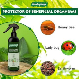Neem Oil Spray 250ml I Organic Insecticide for Plants I Insect Killer Spray - Removes Mealy Bug, Fungus, Aphids Etc from Home Garden