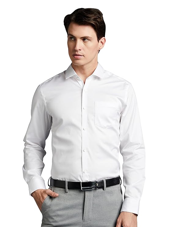 Men's Wrinkle-Resistant Regular Fit Cotton Formal Shirt