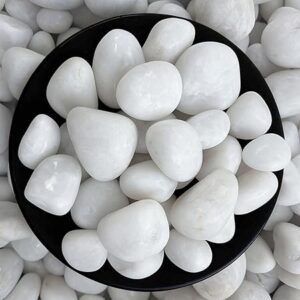 Polished White Pebbles Glossy Stones - 2Kg (2.5cm - 4cm) | for Home Decorative, Vase Fillers, Aquarium Fish Tank, Garden River Rock Unplanted Substrate